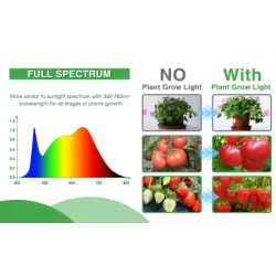 Seed Starter Tray with LED Grow Light – 2 × 40 Cells
